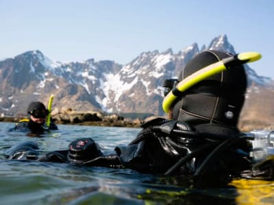 Arktisches Tauchen auf den Lofoten von Ballstad aus