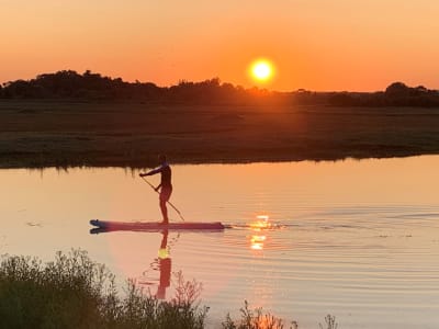 Guided stand up paddle trip on the Seudre river near Royan