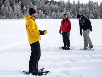 Randonnée en raquettes dans la Laponie suédoise depuis Mörön près de Luleå