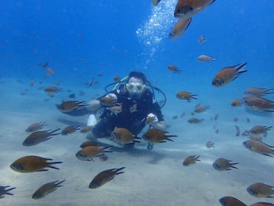 Plongées guidées à Puerto del Carmen, Lanzarote
