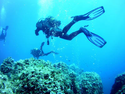 Découvrez la plongée sous-marine depuis la plage de Puerto Addaya, près de Fornells, Minorque.