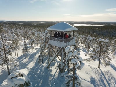 Excursión de senderismo por la naturaleza desde Rovaniemi