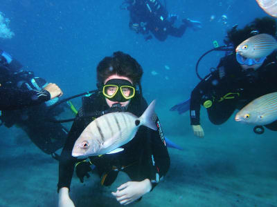 Descubre el buceo en Playa blanca, Lanzarote