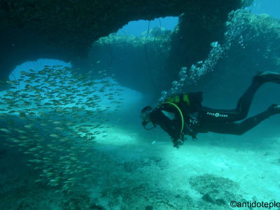 Buceo de exploración desde Port-Louis, Guadalupe