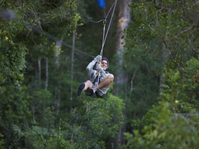 Excursión en canopy en el Parque Nacional de Tsitsikamma