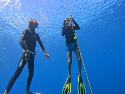 Excursion catamaran et cours d'apnée aux Anses-d'Arlet, Martinique