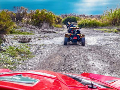 Halbtägiger Buggy-Ausflug nach Lara Bay von Paphos aus