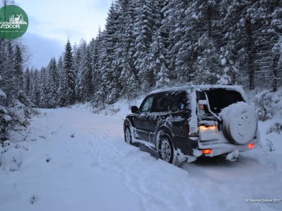 Jeep-Wildnis-Safari von Dala-Järna in der Provinz Dalarna, Schweden