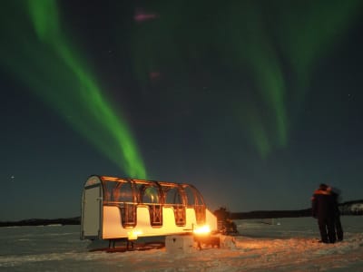 Paseo privado en trineo con techo de cristal bajo la aurora boreal desde Inari
