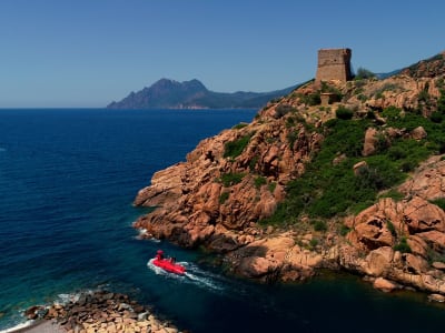 Excursion to the Bay of Porto by semi-submarine