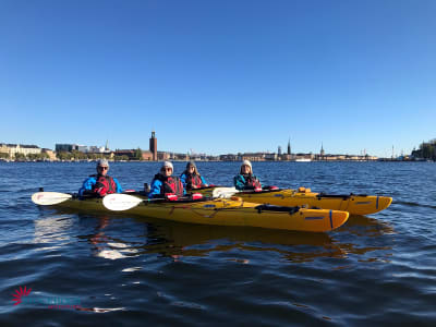 Winter Kayaking Tour in Stockholm