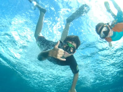 Excursion snorkeling aux Trois-Îlets, Martinique