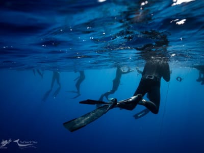 Freediving initiation day in Antibes