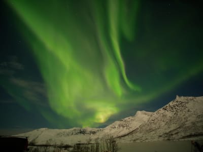 Chasse aux aurores boréales en minibus à Tromsø