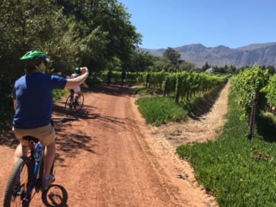 Tournée de l'expérience Franschhoek