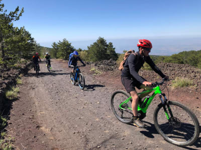 Electric Mountain Biking Tour up Mount Etna and Grotta dei Lamponi