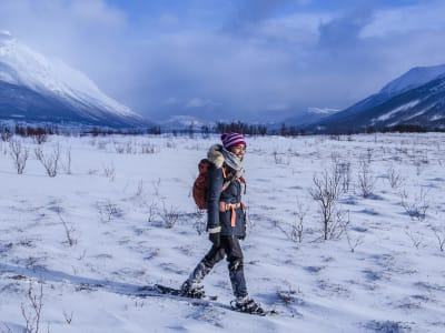 Snowshoeing Excursion to Lyngstuva Lighthouse in the Lyngen Alps from Tromsø 