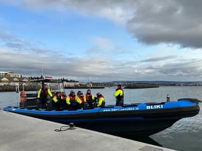 RIB-Bootverleih in Reykjavik für Walbeobachtungen