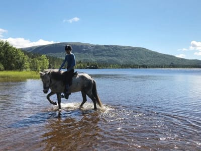 Horseback Riding Tour to a Fishing Lake from Ørskogfjellet near Ålesund
