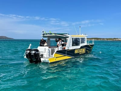 Ganztägige Bootsfahrt im Süden Korsikas ab Porto-Vecchio