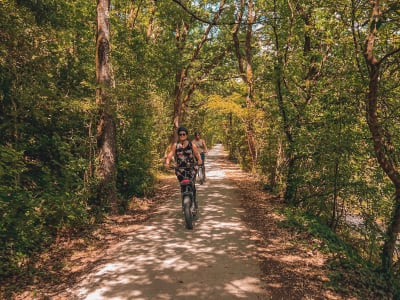 Paseo guiado en patinete eléctrico por el canal de Rompsay desde La Rochelle
