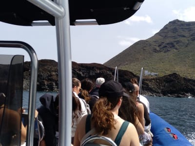 Boat Tour and Snorkelling from Los Gigantes to Punta de Teno, Tenerife