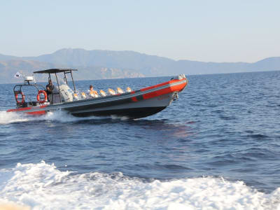 Paseo en barco por el Golfo de Oporto desde Sagone, Córcega