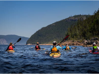 Excursion en kayak de mer dans le fjord du Saguenay depuis L'Anse-Saint-Jean