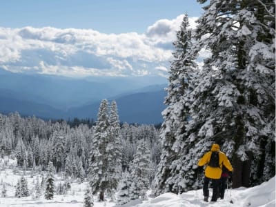 2-tägige Schneeschuhwanderung in den Vogesen