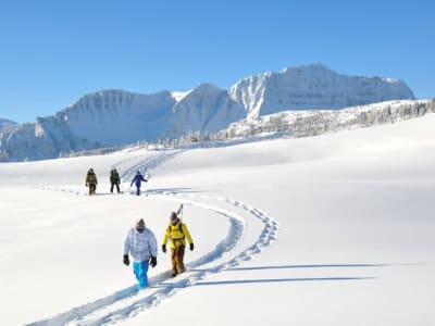 Schneeschuhwandern in Sunshine Meadows im Banff National Park, in der Nähe von Calgary