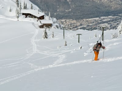 Excursión guiada con raquetas de nieve desde Bad Reichenhall, cerca de Salzburgo