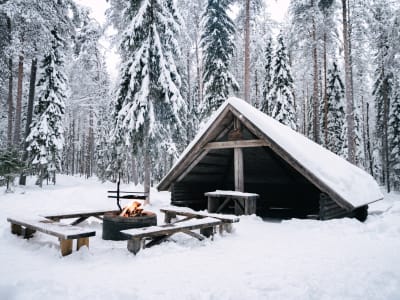 Excursion guidée en raquettes à partir de Rovaniemi 