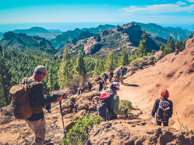 Randonnée sur les volcans à Gran Canaria