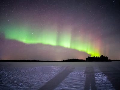 Tour photo professionnel des aurores boréales depuis Rovaniemi