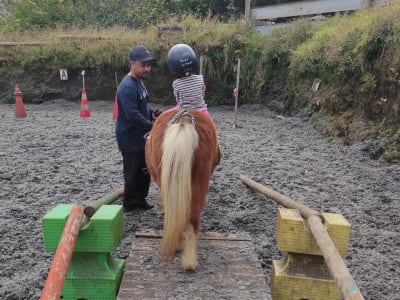 Baby-Pony-Erlebnis auf dem Piton Maïdo, Insel La Réunion
