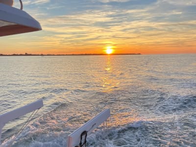 Katamaran-Tour bei Sonnenuntergang auf der Ile de Ré ab Saint-Martin-de-Ré