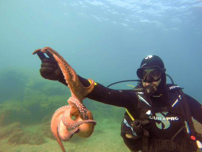 Descubre el buceo en la playa de Agia Marina, al sur de Atenas