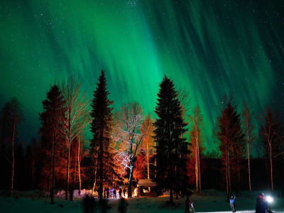 Excursión con raquetas de nieve en el bosque lapón cerca de Rovaniemi