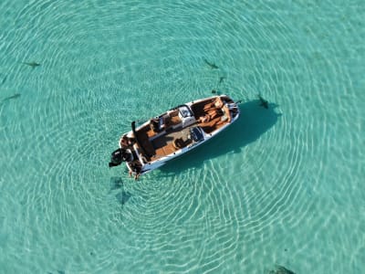 Combo de crucero y excursión de un día en Moorea