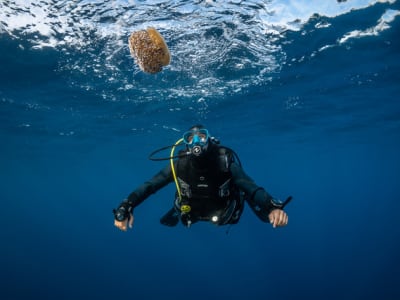 Snorkeling and first dive in Monaco