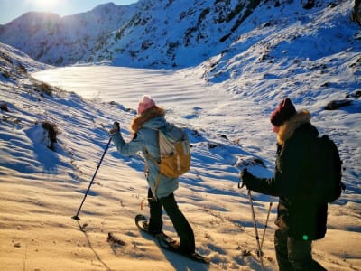 Excursión panorámica con raquetas de nieve desde Bergen