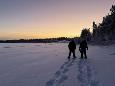 Excursión guiada con raquetas de nieve y visita a la granja de renos de Levi