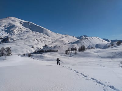 Randonnée en raquettes à neige à Risoul, La Forêt Blanche
