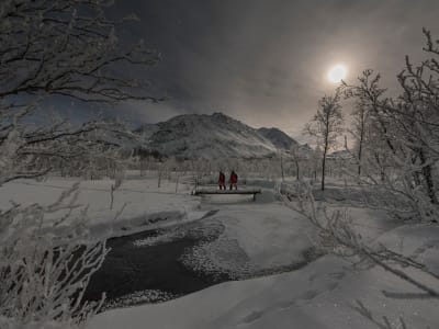 Nächtliche Schneeschuhwanderung ab Tromsø
