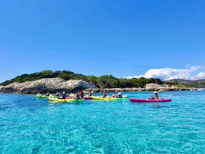 Discover Sea Kayaking on the Piantarella Lagoon and near Bird Island with Swimming, Bonifacio