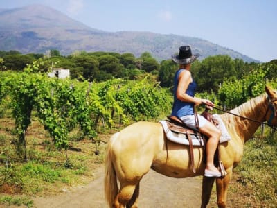 Balade à cheval dans les vignobles du Vésuve depuis Pompéi 