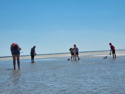 Shellfish Foraging in the Baie de Somme, Le Crotoy