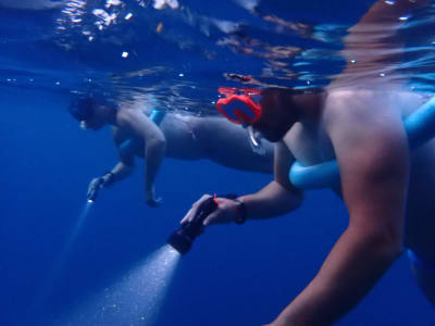 Snorkeling de nuit aux Anses-d'Arlet avec bioluminescence, Martinique