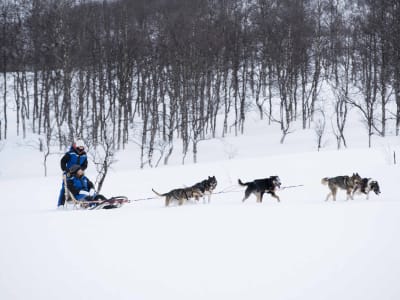 Excursion avancée en chiens de traîneau dans la vallée de Tamok, près de Tromsø