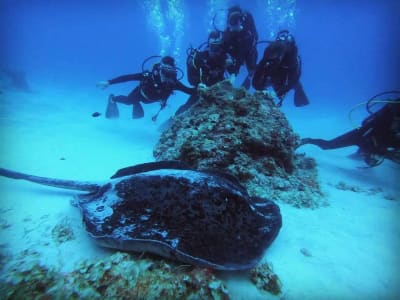 PADI Open Water scuba diving course in Belle Mare, Mauritius